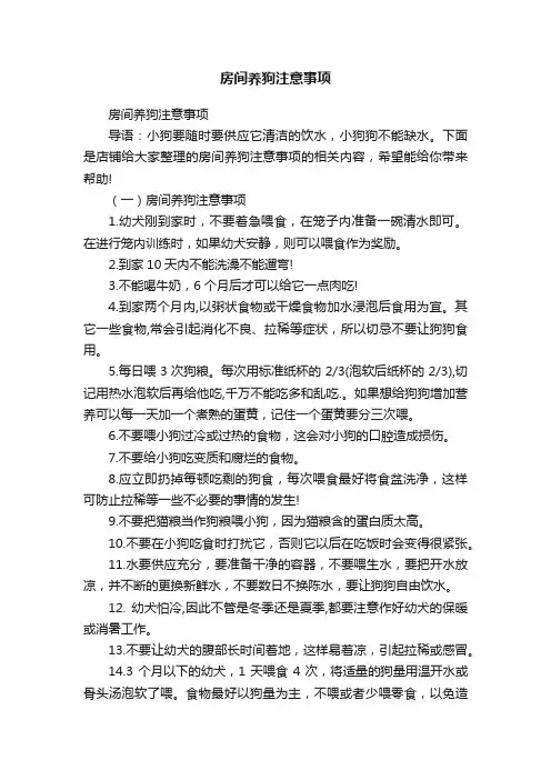 房间养狗注意事项