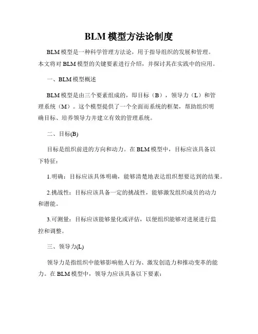 BLM模型方法论制度