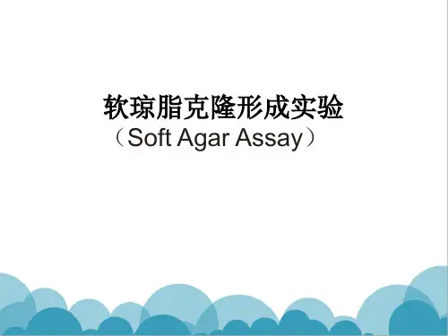 软琼脂克隆形成实验
