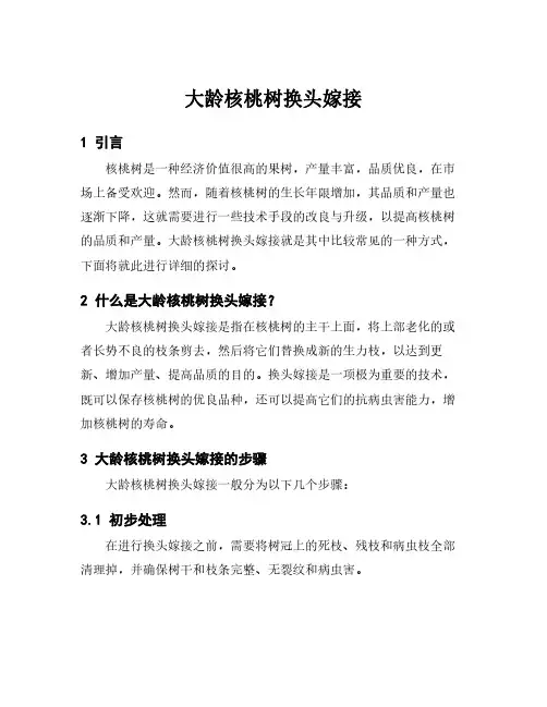 大龄核桃树换头嫁接