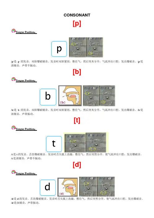 国际音标教学-辅音彩图+规律单词(原创)