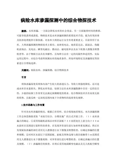 病险水库渗漏探测中的综合物探技术