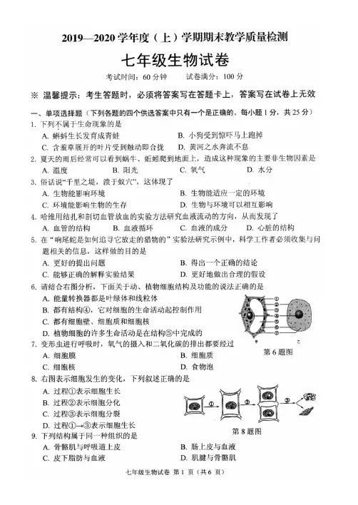 新人教版2019-2020七年级生物上学期期末试卷及其答案