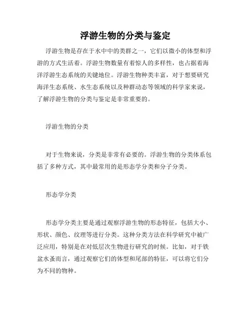 浮游生物的分类与鉴定