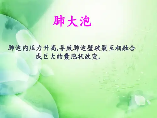 肺部疾病正式 ppt课件