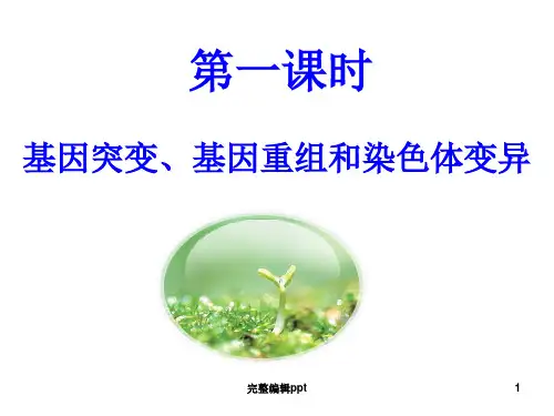 高三生物一轮复习 基因突变、基因重组和染色体变异ppt精选课件