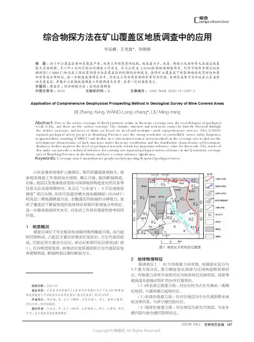综合物探方法在矿山覆盖区地质调查中的应用