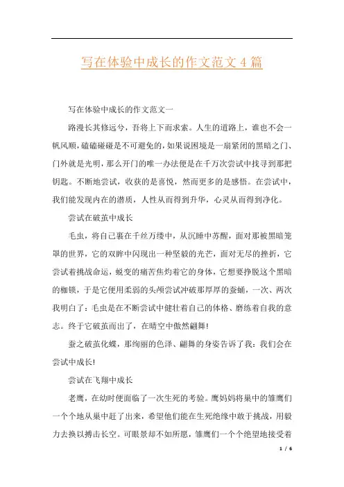 写在体验中成长的作文范文4篇