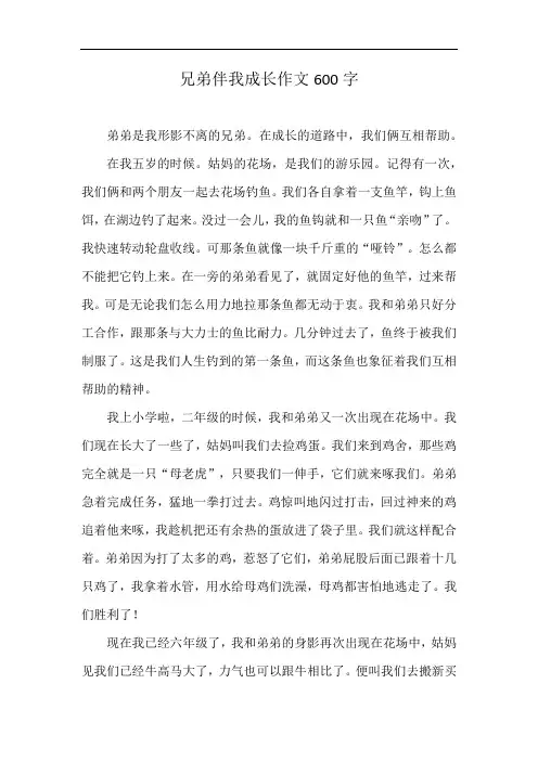 兄弟伴我成长作文600字