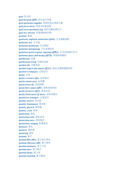 IT专业英语词典-Q