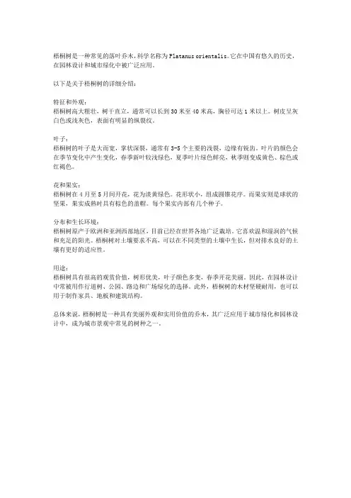关于梧桐树的资料介绍