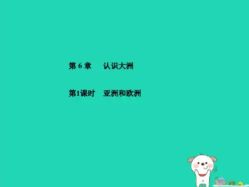 青岛市中考地理七年级下册第6章认识大洲(第1课时)复习课件