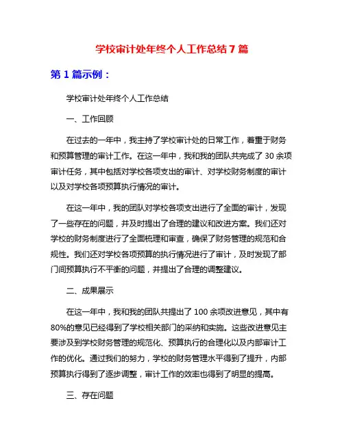 学校审计处年终个人工作总结7篇