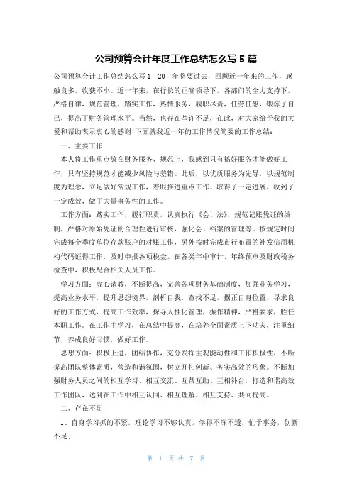 公司预算会计年度工作总结怎么写5篇