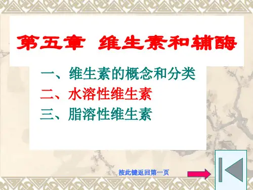 第五章 维生素和辅酶