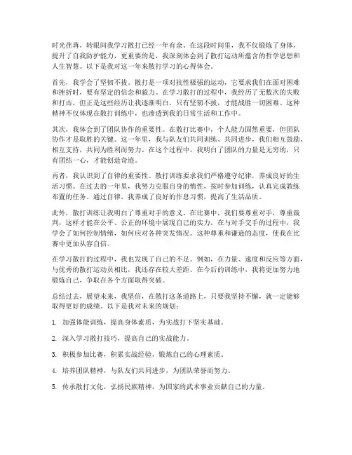 个人散打总结范文