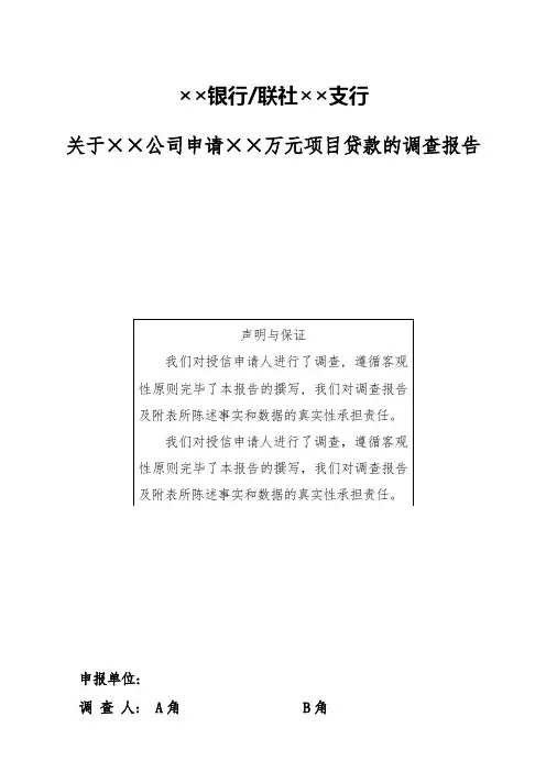 项目贷款调查报告模板