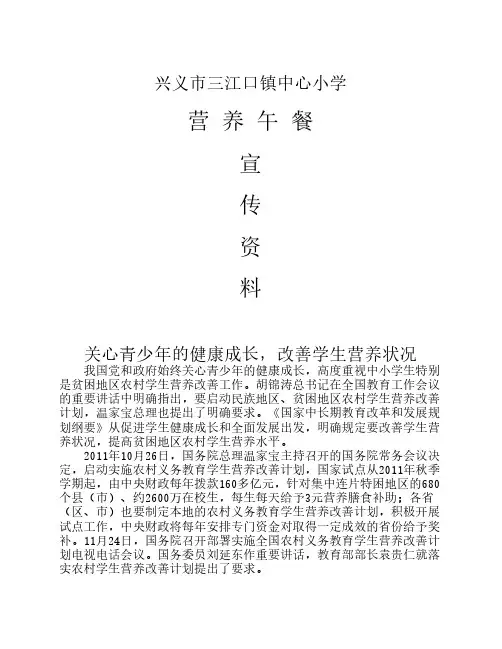(4)营养午餐宣传资料