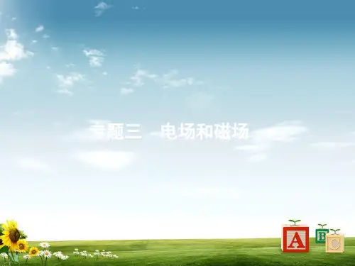 2019高考物理大二轮实用课件：专题三 电场和磁场8