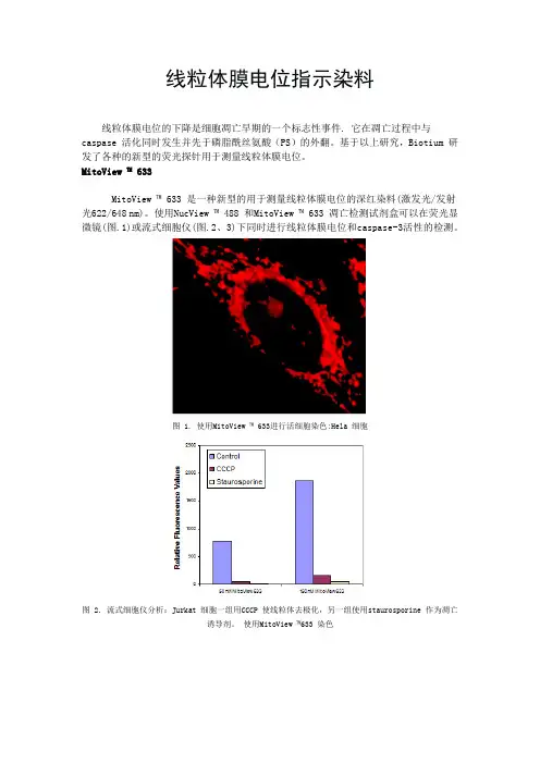 细胞凋亡、坏死、细胞活性检查常见方法及试剂