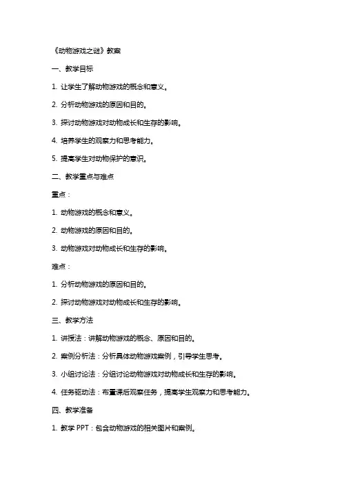 《动物游戏之谜》教案