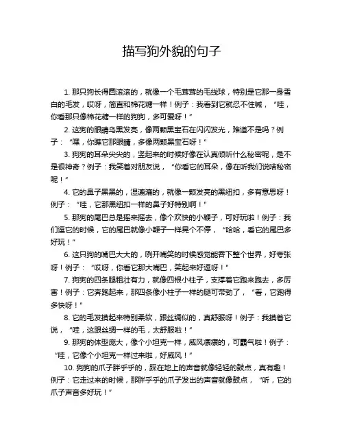 描写狗外貌的句子