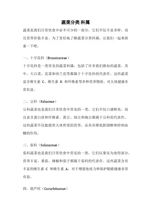 蔬菜分类 科属