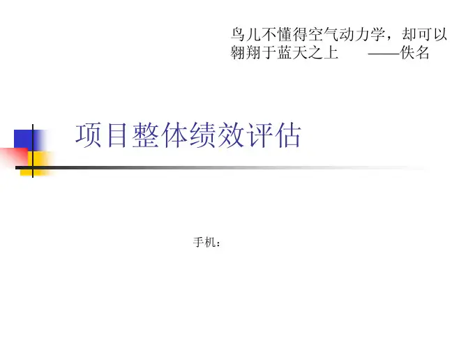 项目整体绩效评估