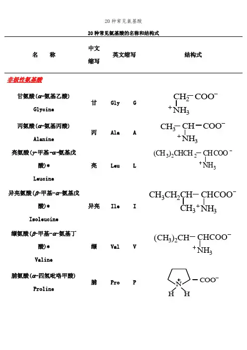 20种常见氨基酸