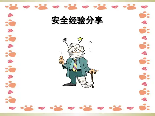 安全经验分享电气安全