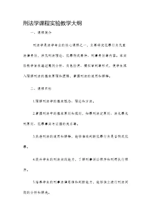 刑法学课程实验教学大纲