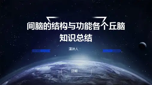 间脑的结构与功能各个丘脑知识总结