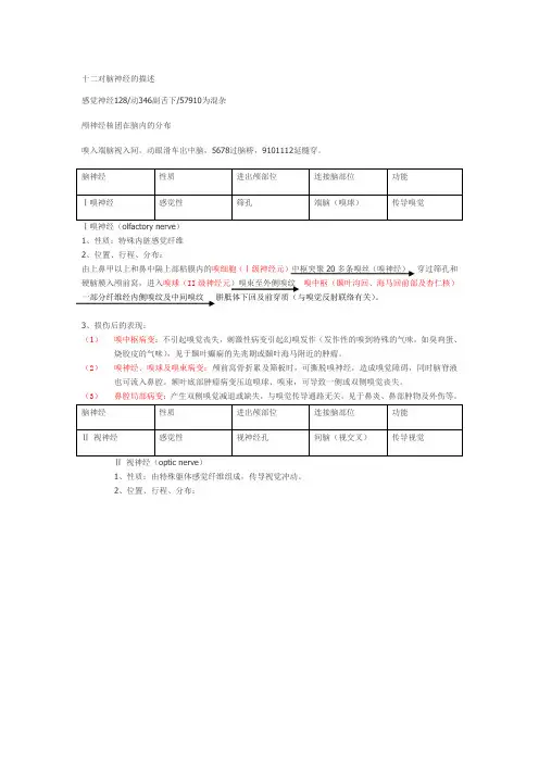 十二对脑神经