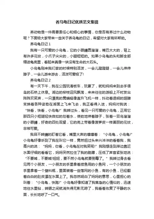 养乌龟日记优质范文集锦