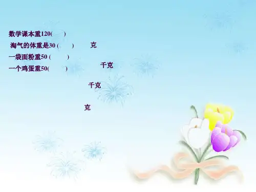 1吨有多重ppt课件