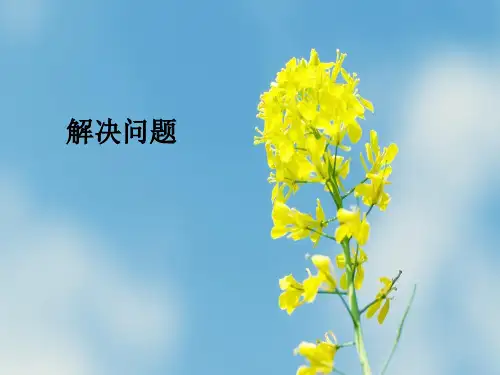 人教版2019年数学六年级上册6.6《解决问题》ppt教学课件