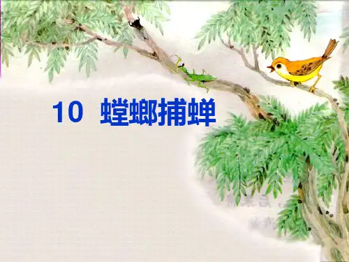 螳螂捕蝉PPT课件