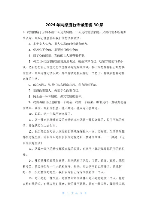 2024年网络流行语录集锦30条