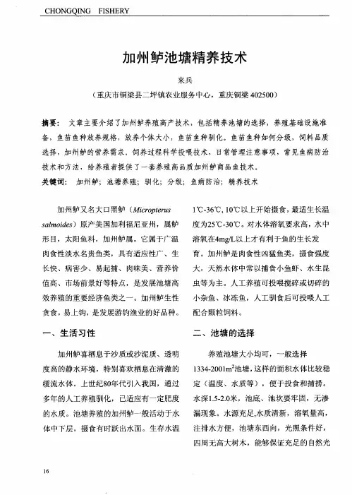 加州鲈池塘精养技术
