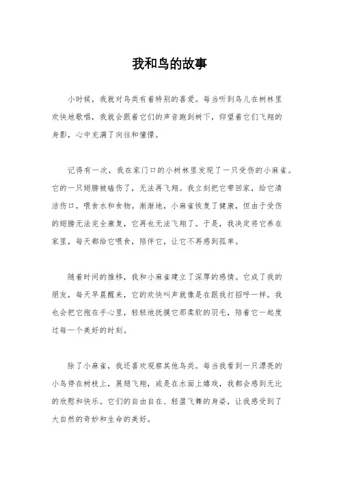 我和鸟的故事