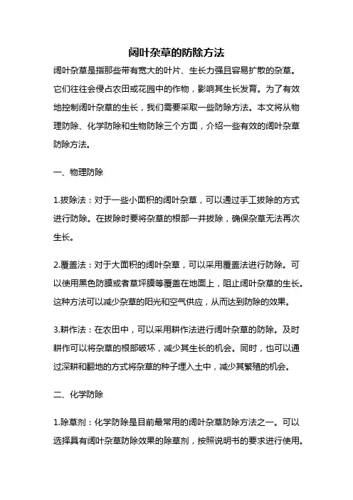 阔叶杂草的防除方法