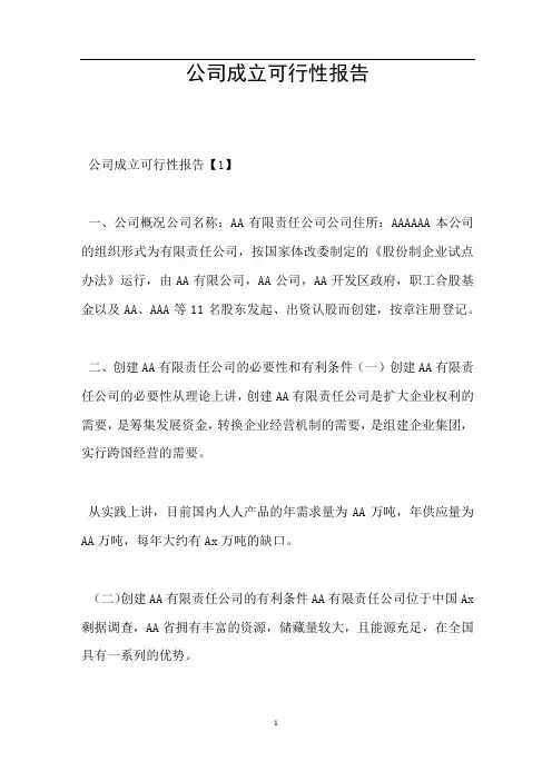 公司成立可行性报告