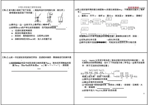 中考化学实验之探究性实验
