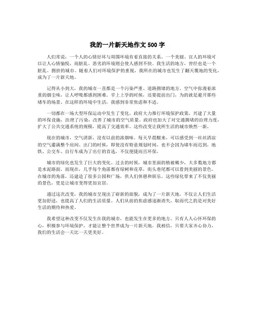 我的一片新天地作文500字