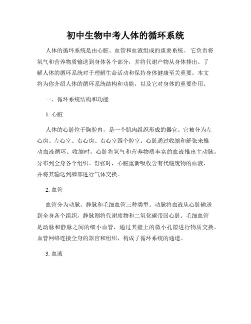 初中生物中考人体的循环系统