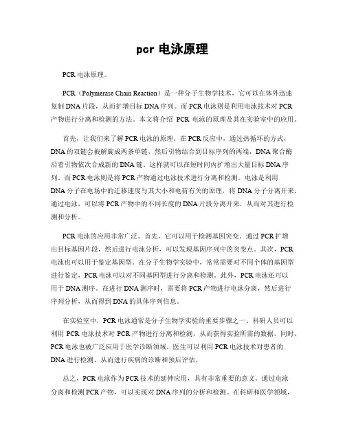 pcr电泳原理