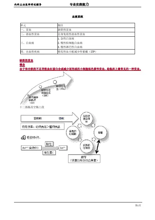 2020年内科学主治医师资格笔试考点解析  (7)：血液系统
