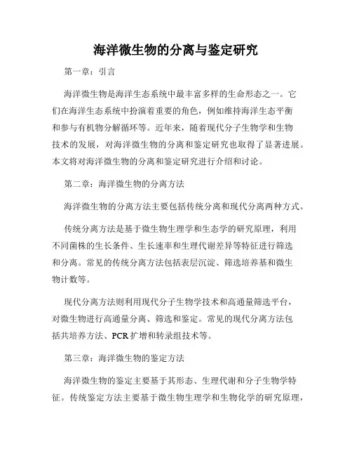 海洋微生物的分离与鉴定研究