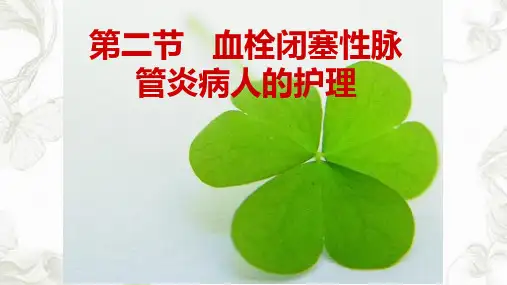 血栓闭塞性脉管炎病人的护理PPT课件