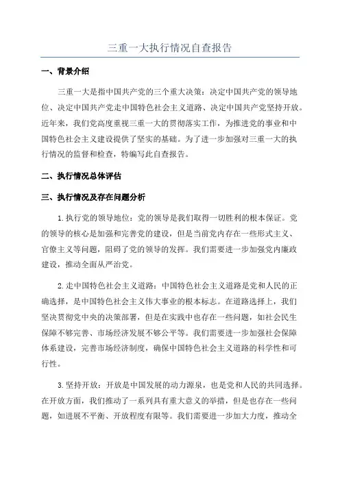 三重一大执行情况自查报告